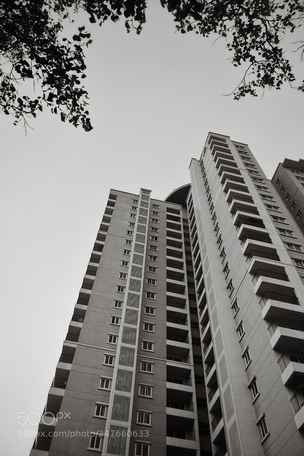 Nikon D5200 sample photo. Sky-high. photography