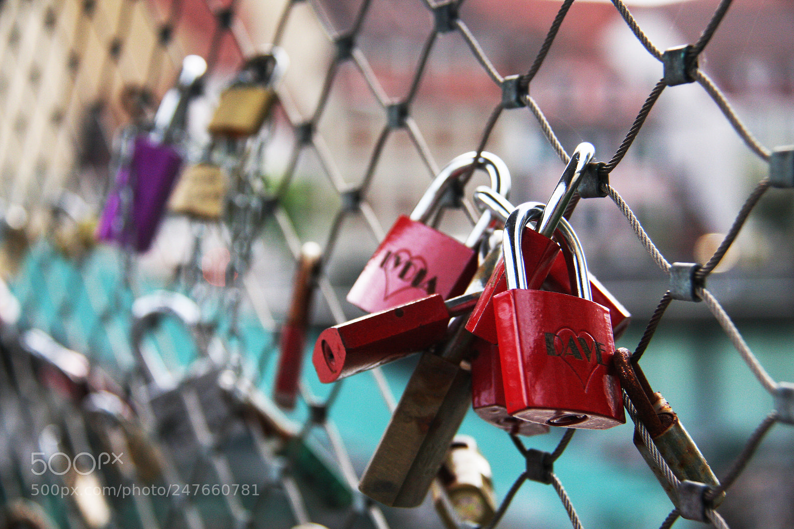 Canon EOS 40D sample photo. Untitled photography