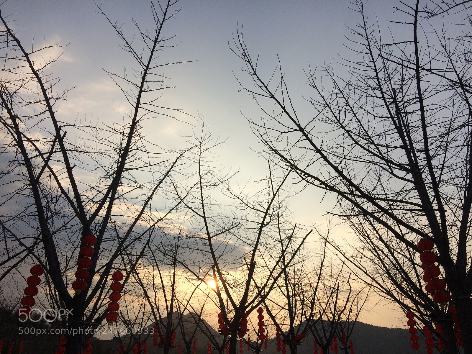 Apple iPhone 5s sample photo. Wintertime ，winterlight photography