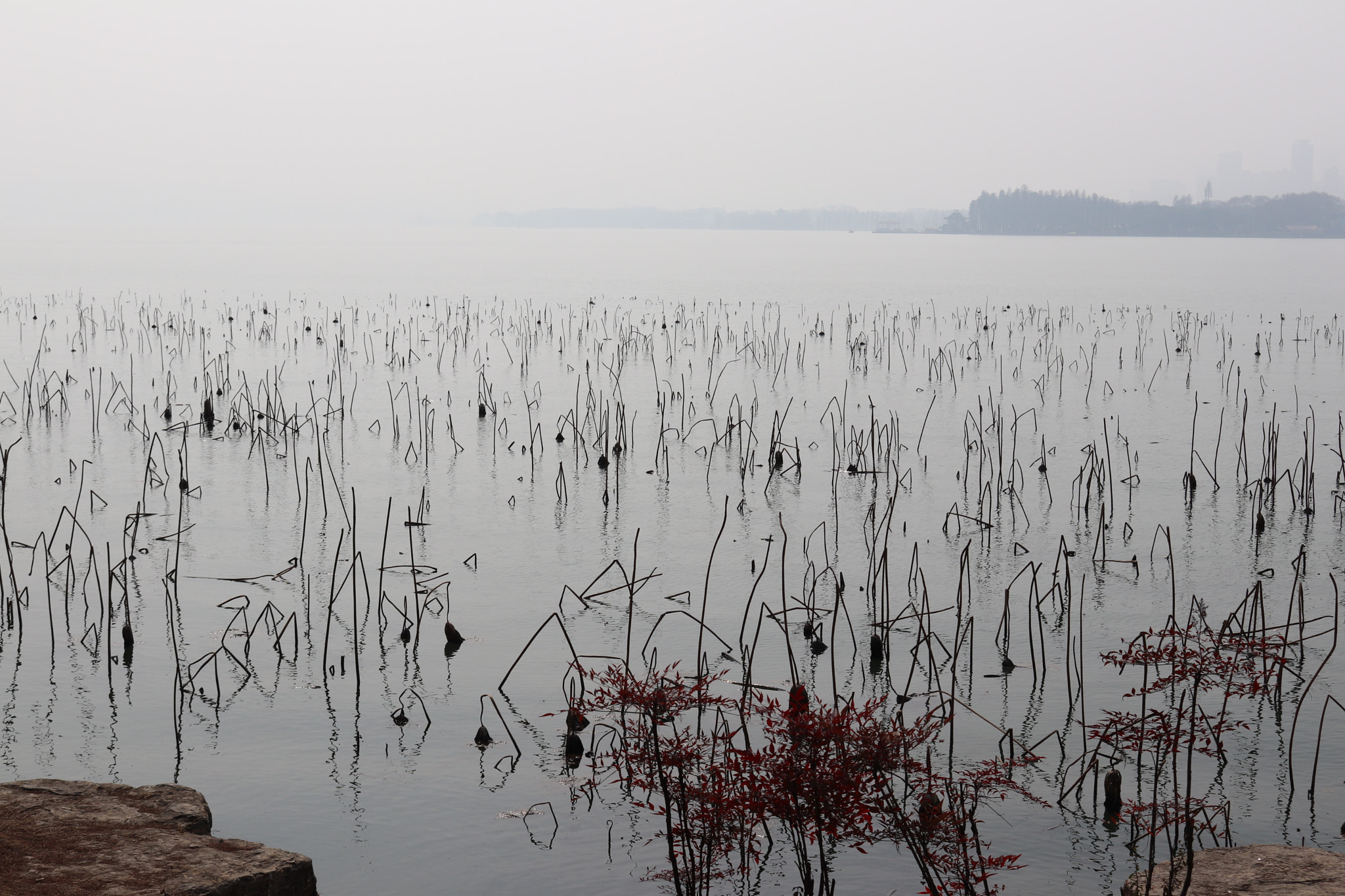 Canon EOS 77D (EOS 9000D / EOS 770D) sample photo. Img photography