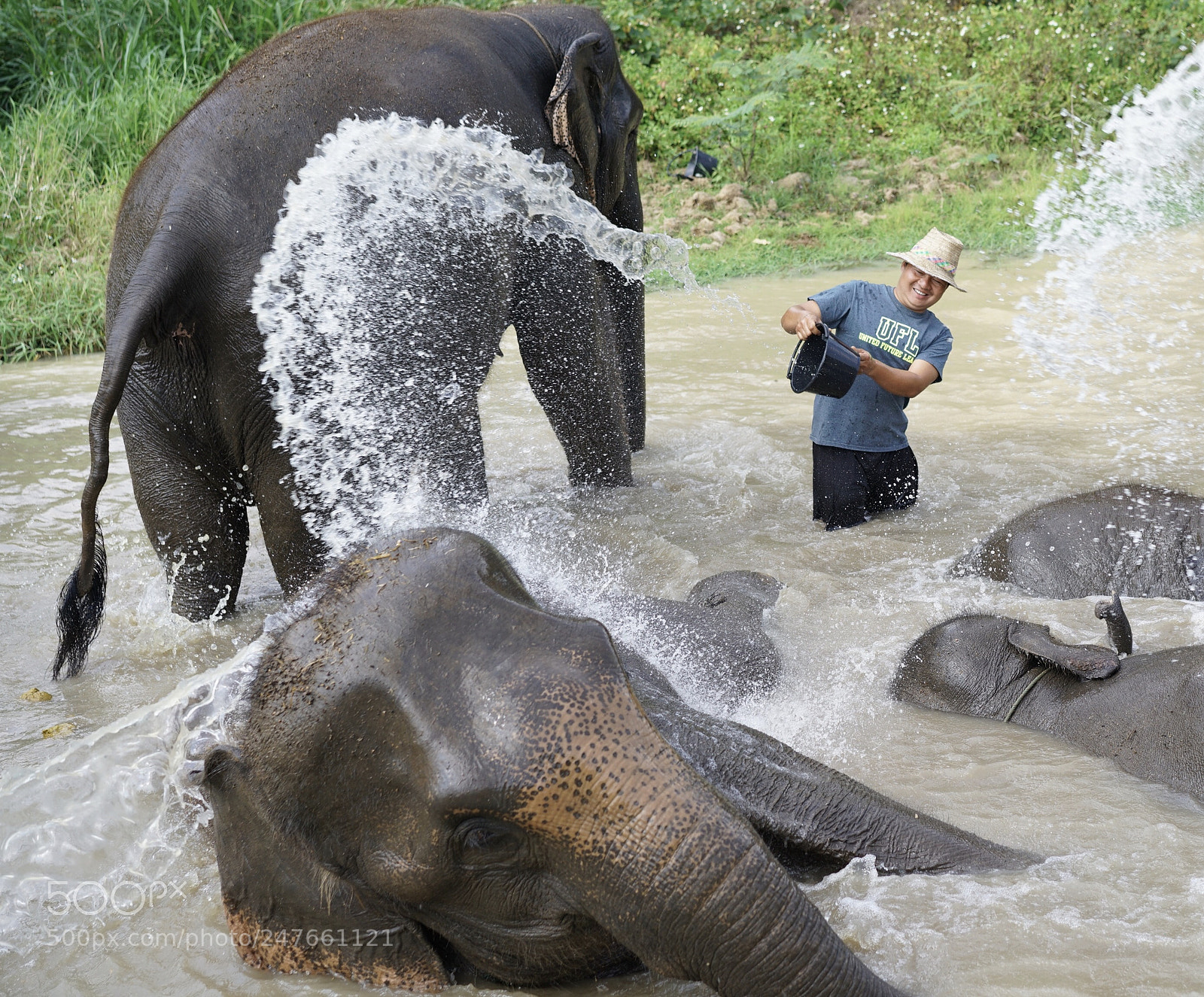Sony a7R II sample photo. The elephants and men photography