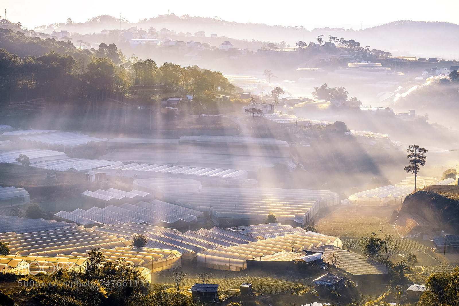 Fujifilm X-T20 sample photo. Dusinh, dalat, lamdong photography