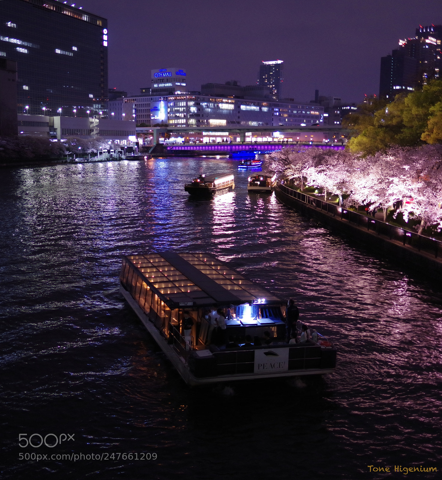 Pentax K-1 sample photo. Cherry blossoms at night photography