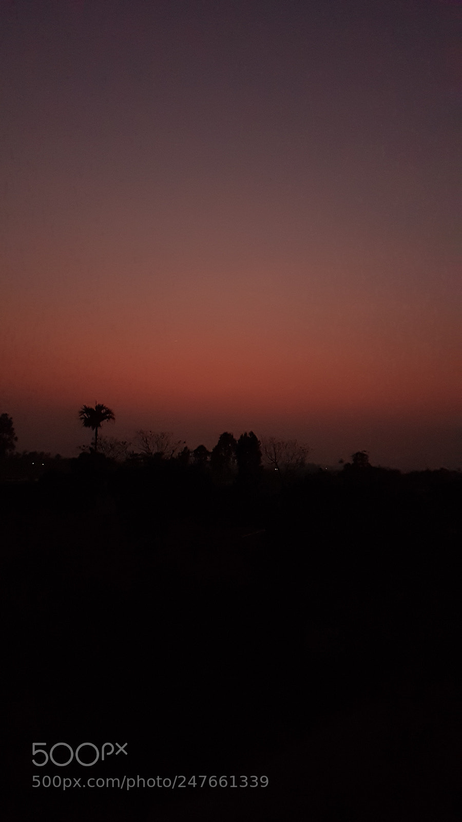 Samsung Galaxy S8 sample photo. Take by s8 photography