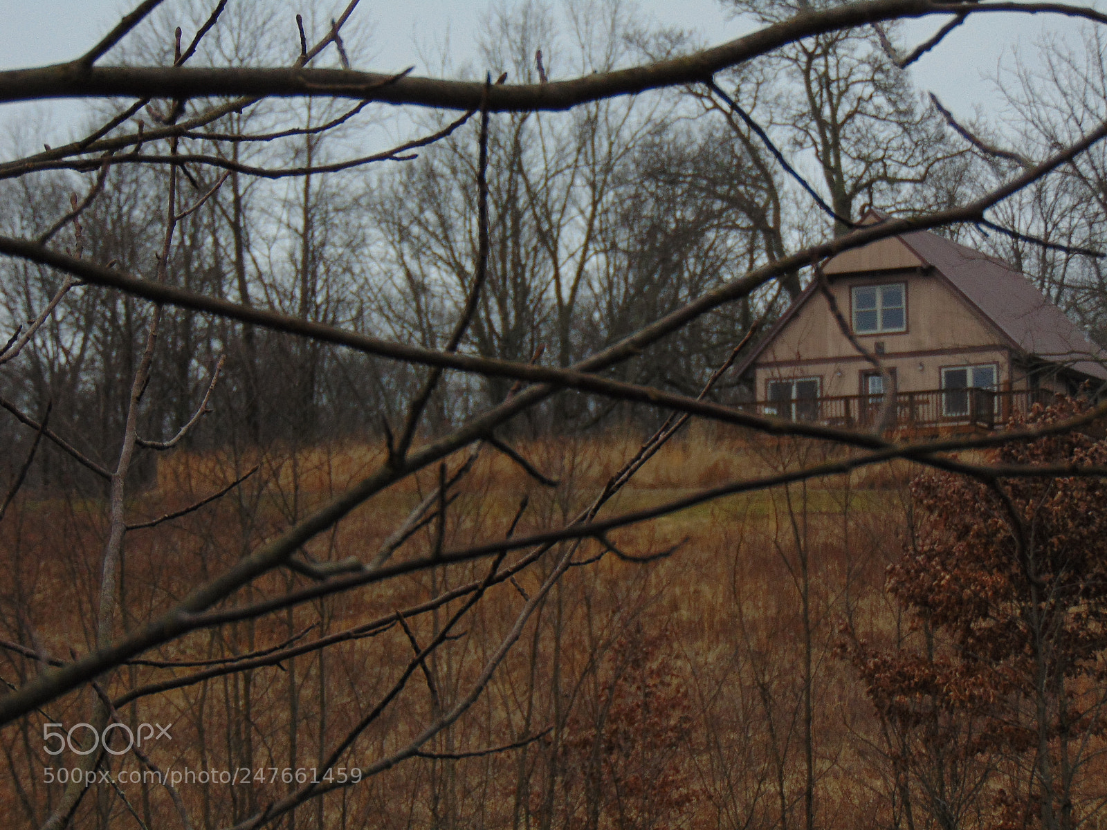 Sony Cyber-shot DSC-H300 sample photo. Obervations photography