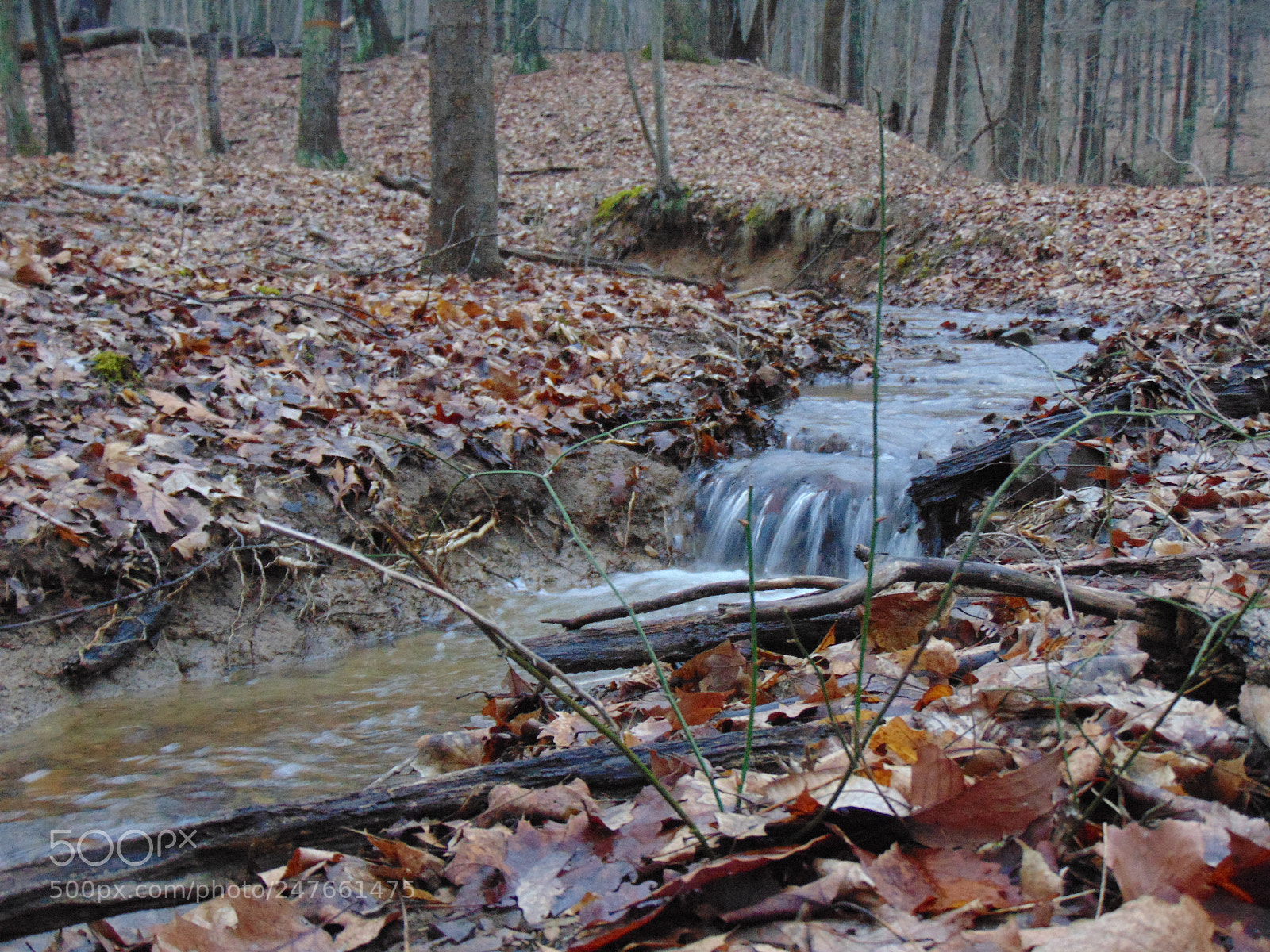 Sony Cyber-shot DSC-H300 sample photo. Falling, flowing. photography