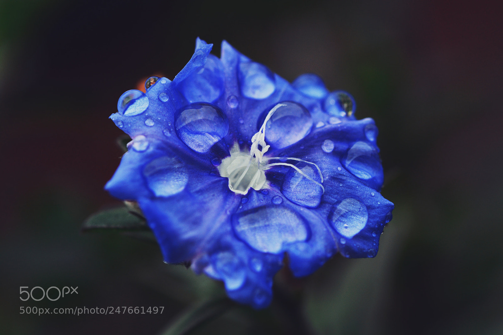Nikon D7100 sample photo. Untitled photography