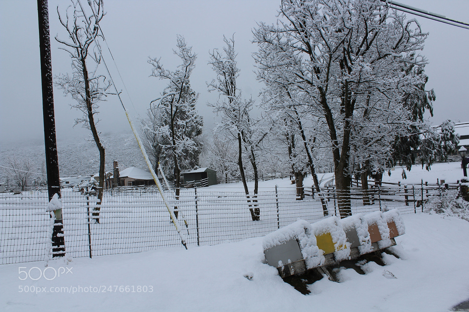 Canon EOS 1300D (EOS Rebel T6 / EOS Kiss X80) sample photo. Snow over mailboxes in photography