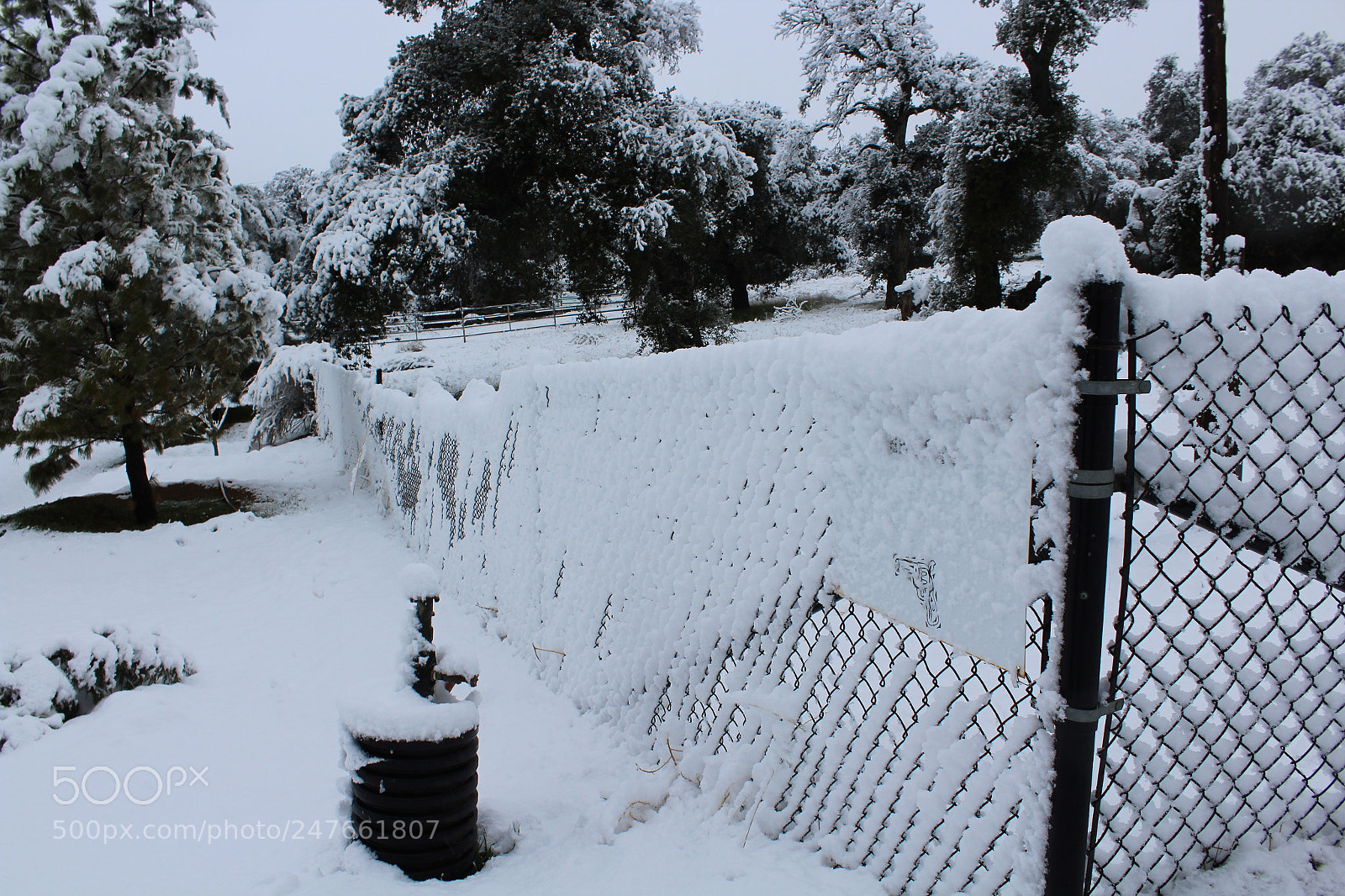 Canon EOS 1300D (EOS Rebel T6 / EOS Kiss X80) sample photo. Fence in descanso photography