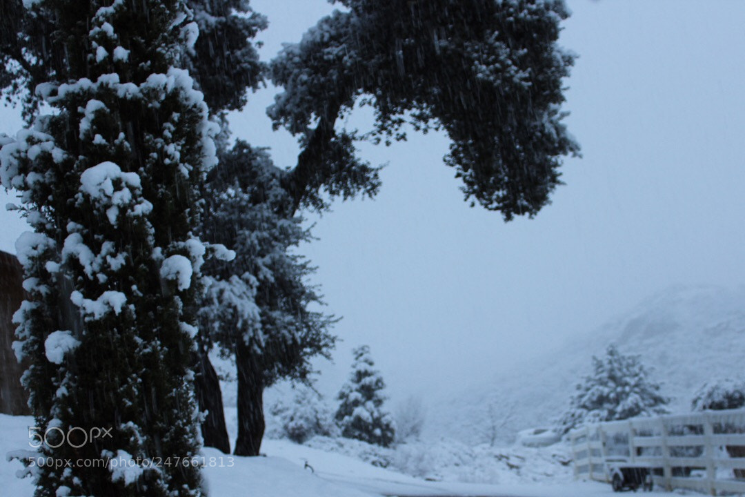 Canon EOS 1300D (EOS Rebel T6 / EOS Kiss X80) sample photo. Snow day in descanso photography