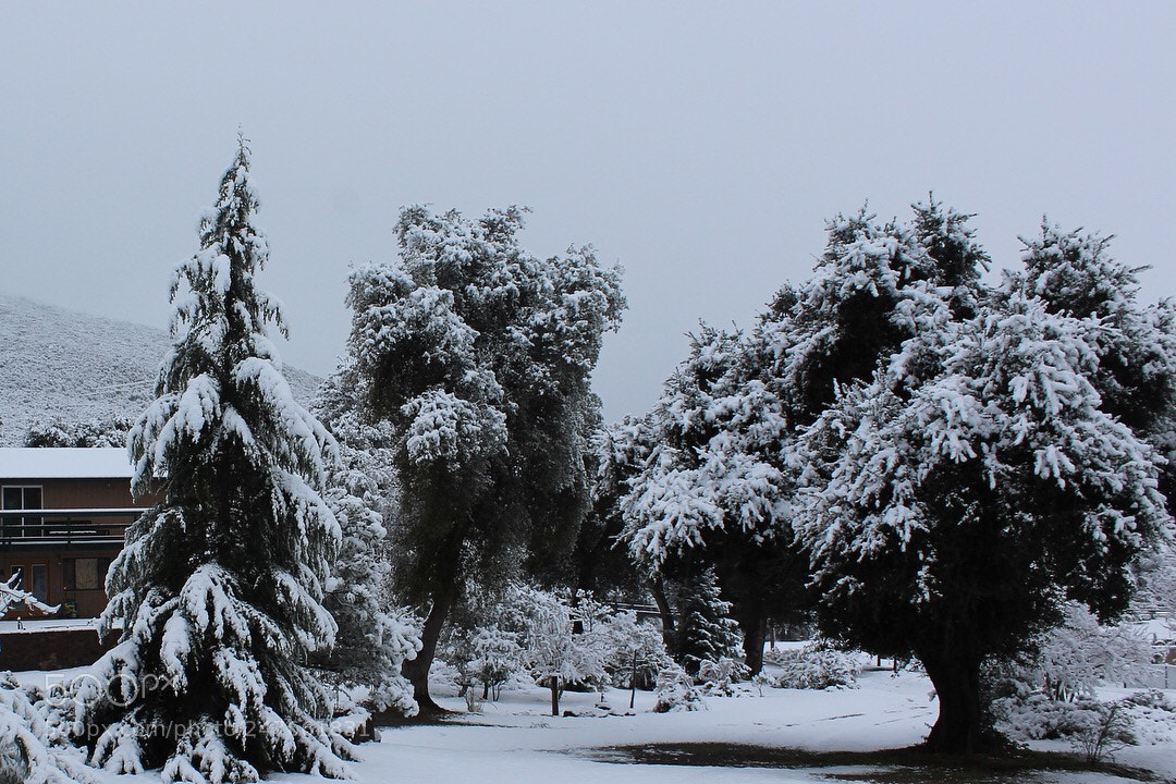 Canon EOS 1300D (EOS Rebel T6 / EOS Kiss X80) sample photo. Snow day in descanso photography
