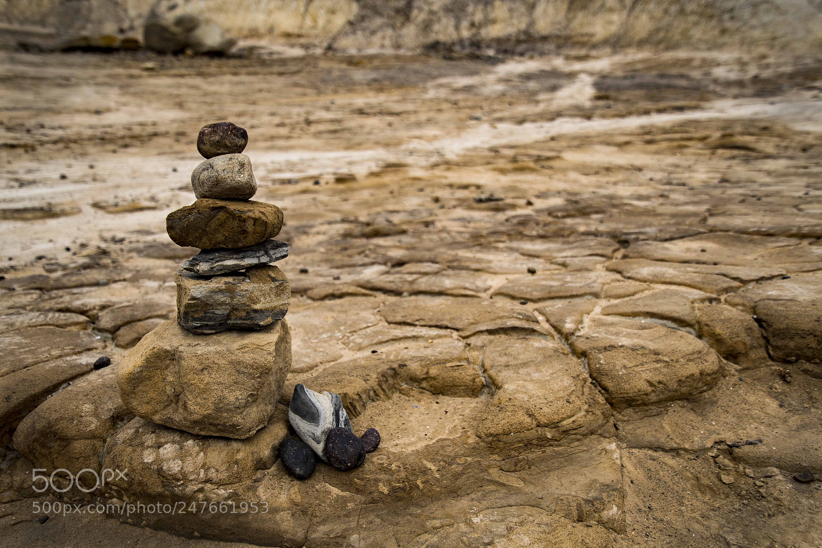 Nikon D500 sample photo. Weston rocks sm photography