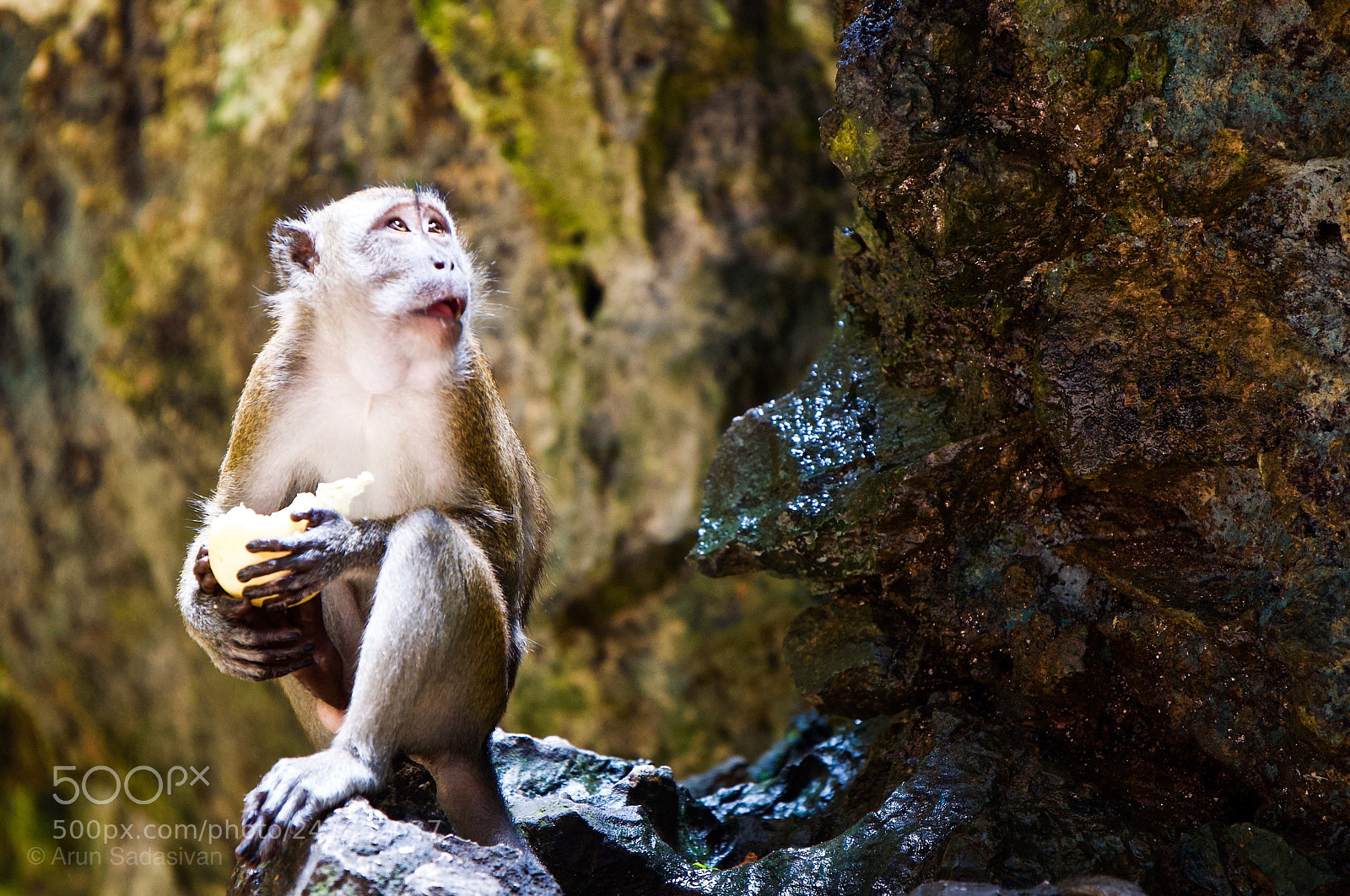 Nikon D90 sample photo. Meditation photography