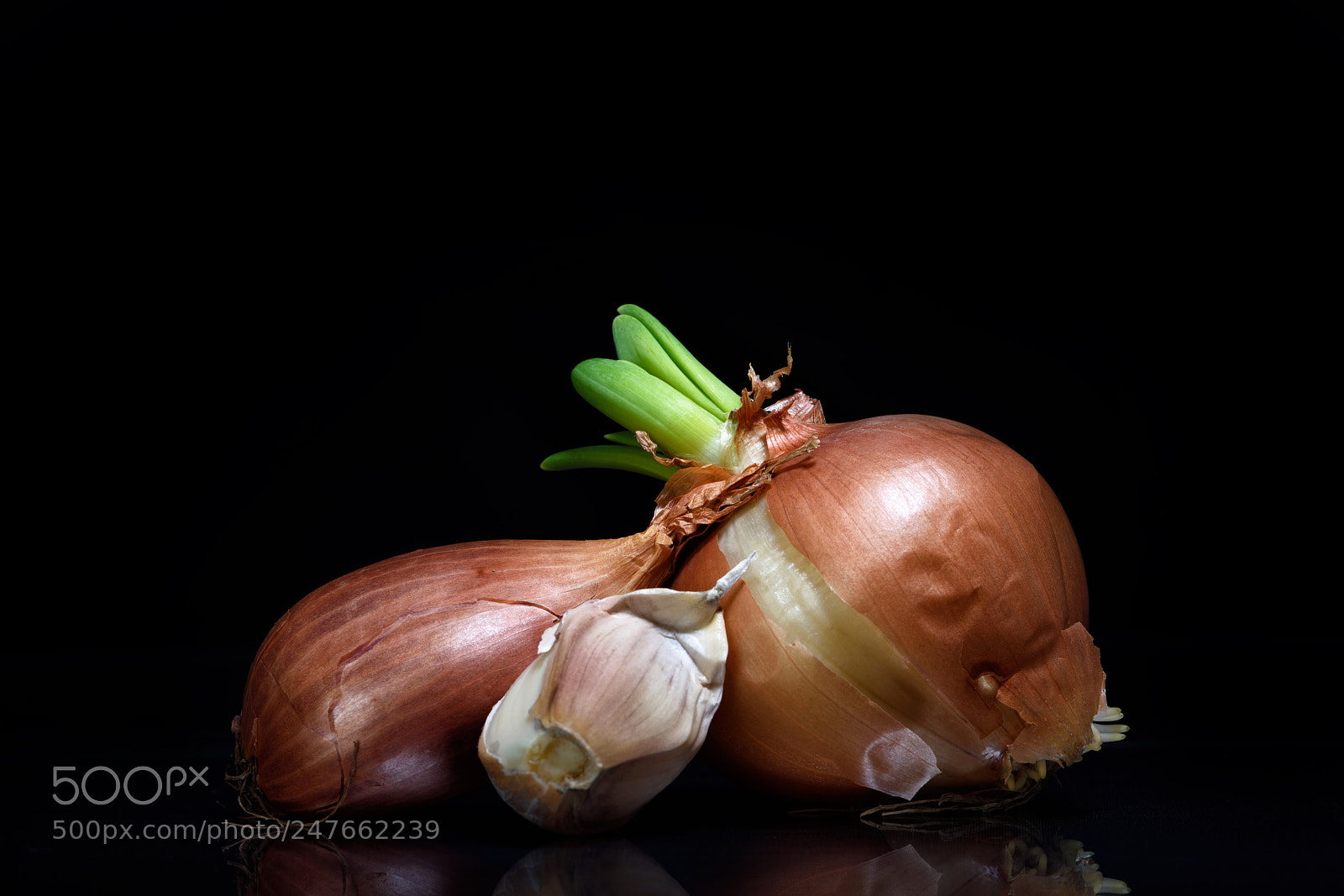 Nikon D810 sample photo. Lovely still life clxivi photography