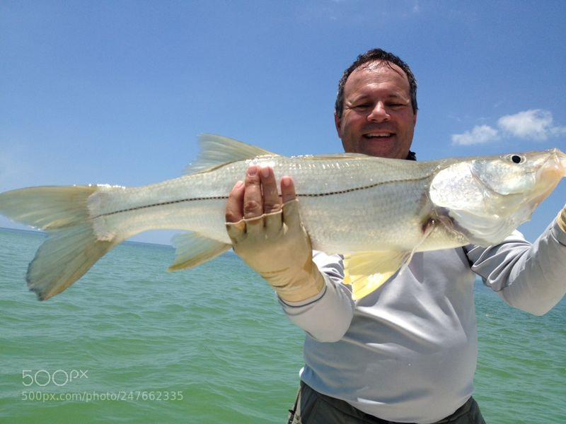 Apple iPhone 4S sample photo. Tampa bay fishing charters photography