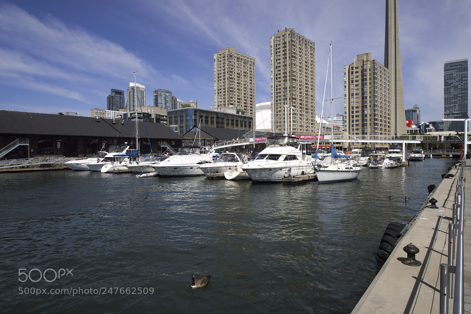 Sony Alpha DSLR-A850 sample photo. Lakeshore area of toronto photography
