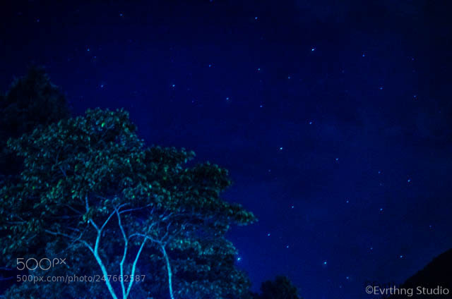 Nikon D5100 sample photo. Noite linda!!! photography