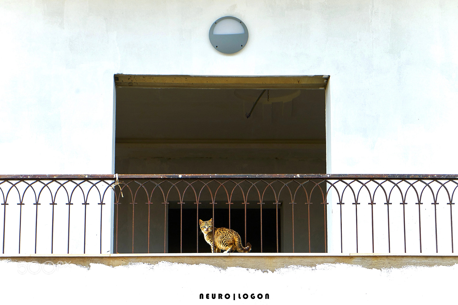Sony a7R II sample photo. Balcony cat photography