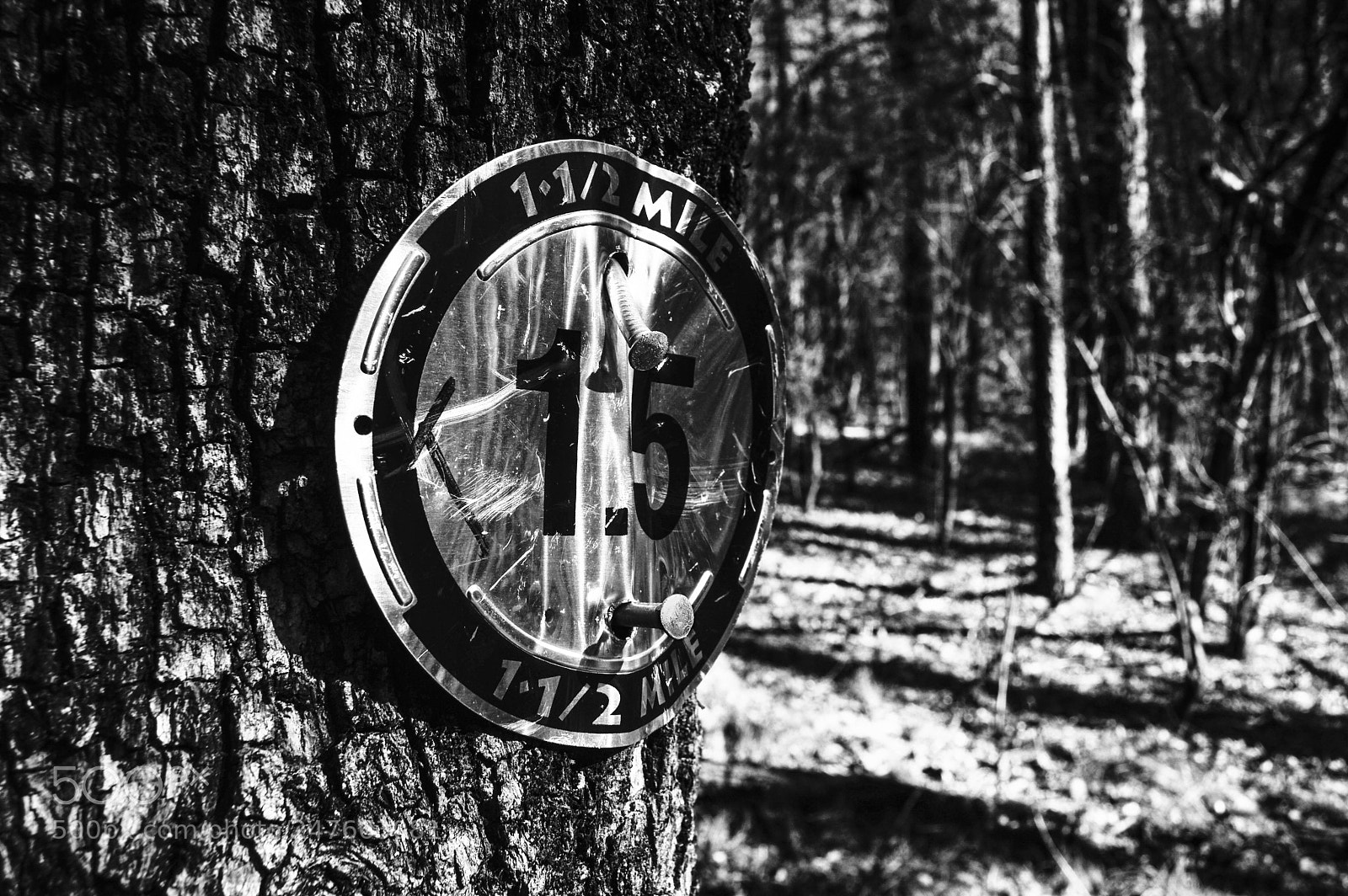 Nikon D3200 sample photo. Trail marker photography