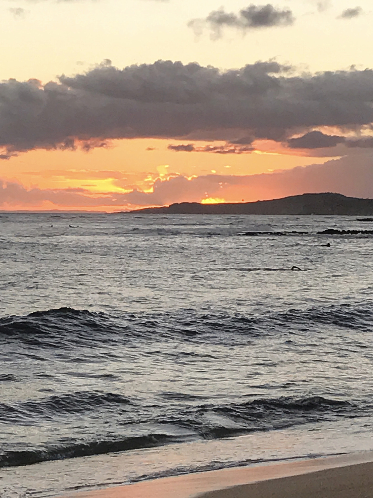 Apple iPhone9,4 sample photo. Ko’a kea photography