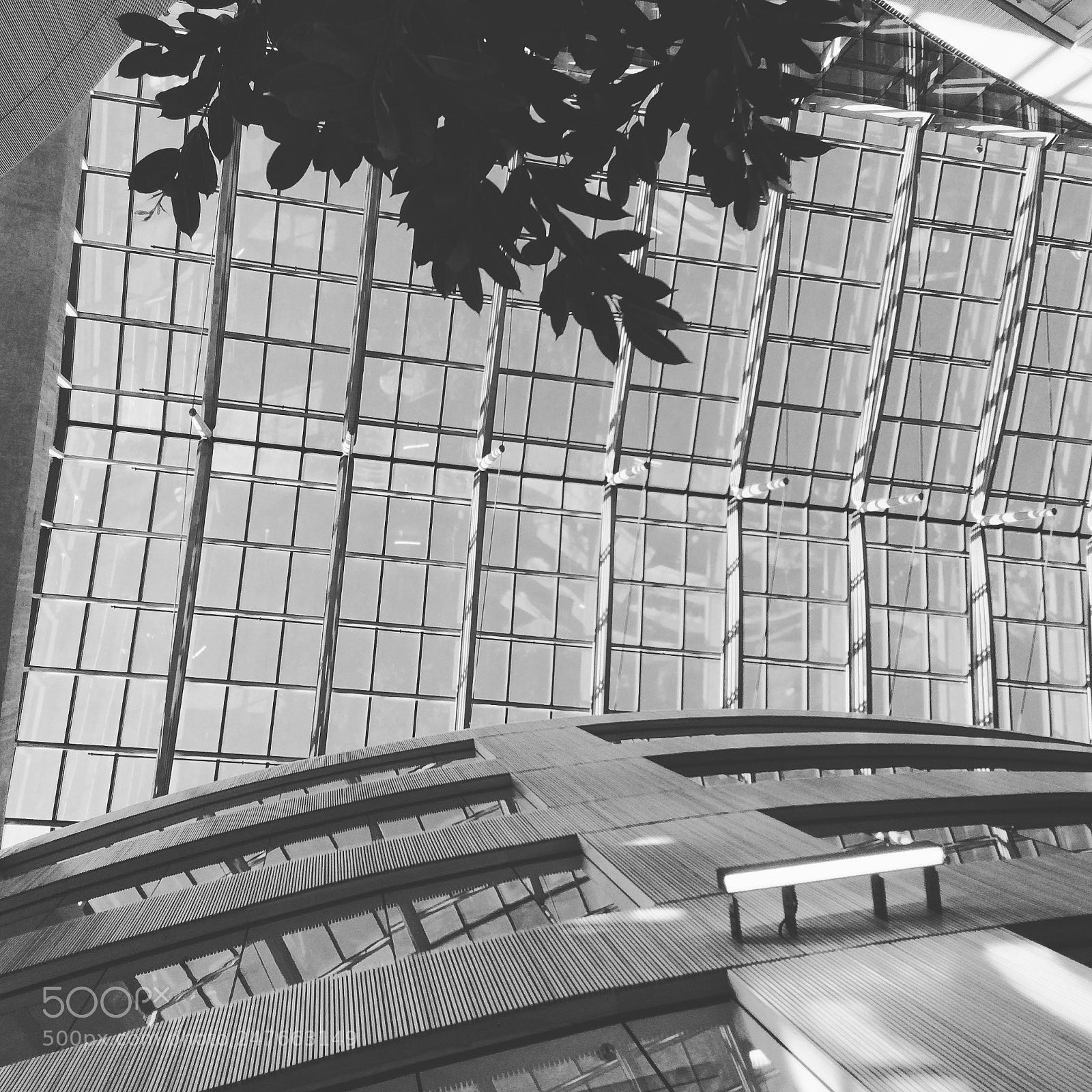 Apple iPhone 5s sample photo. The glass roof of photography
