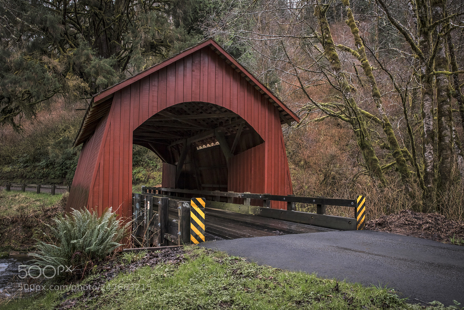 Canon EOS 5DS R sample photo. Yachats covered bridge yachats photography