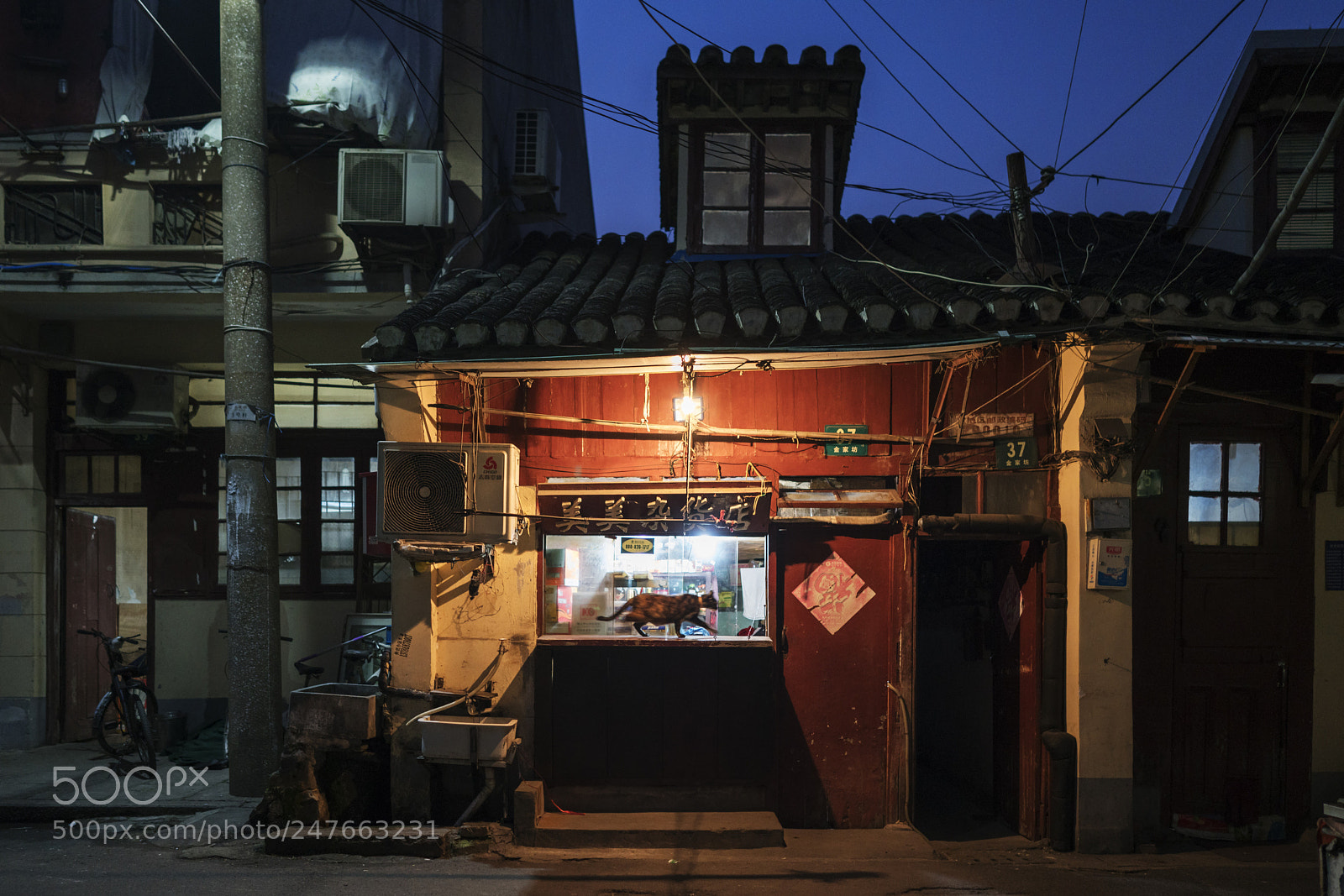 Sony a7R II sample photo. Untitled photography
