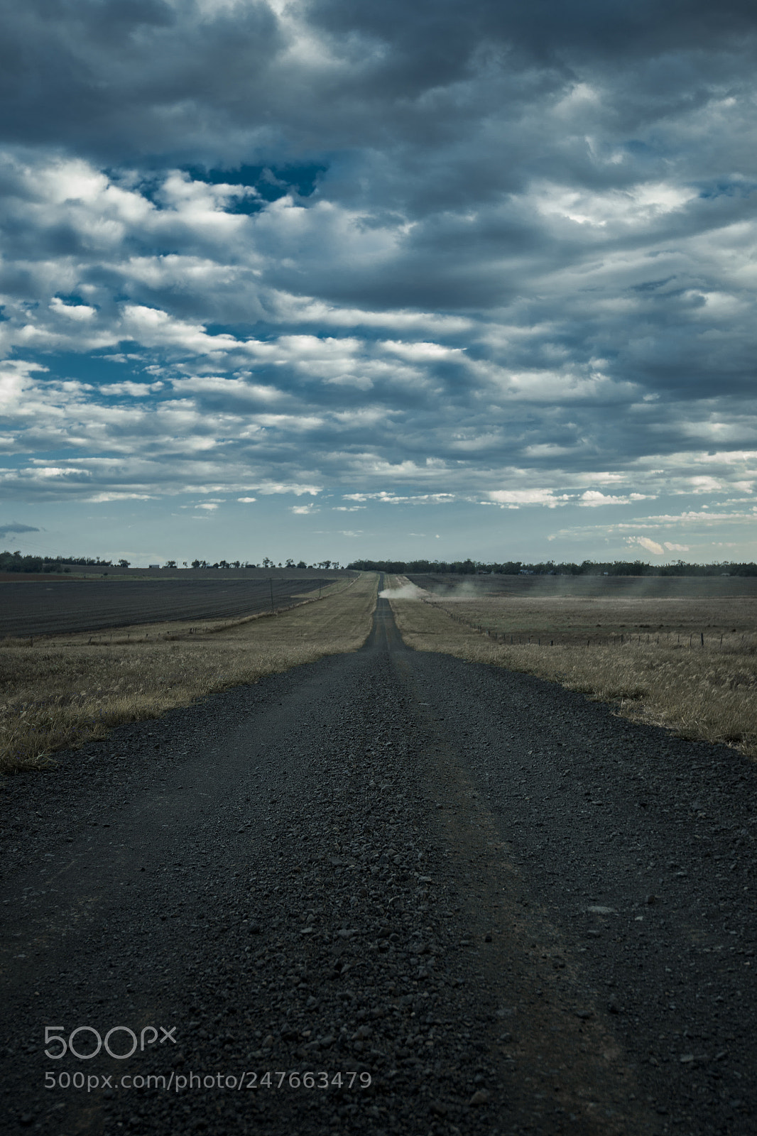 Nikon D800 sample photo. Road out in the photography