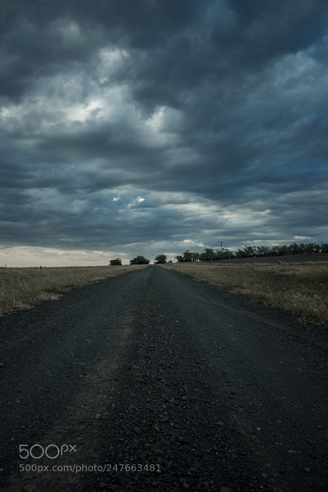 Nikon D800 sample photo. Road out in the photography