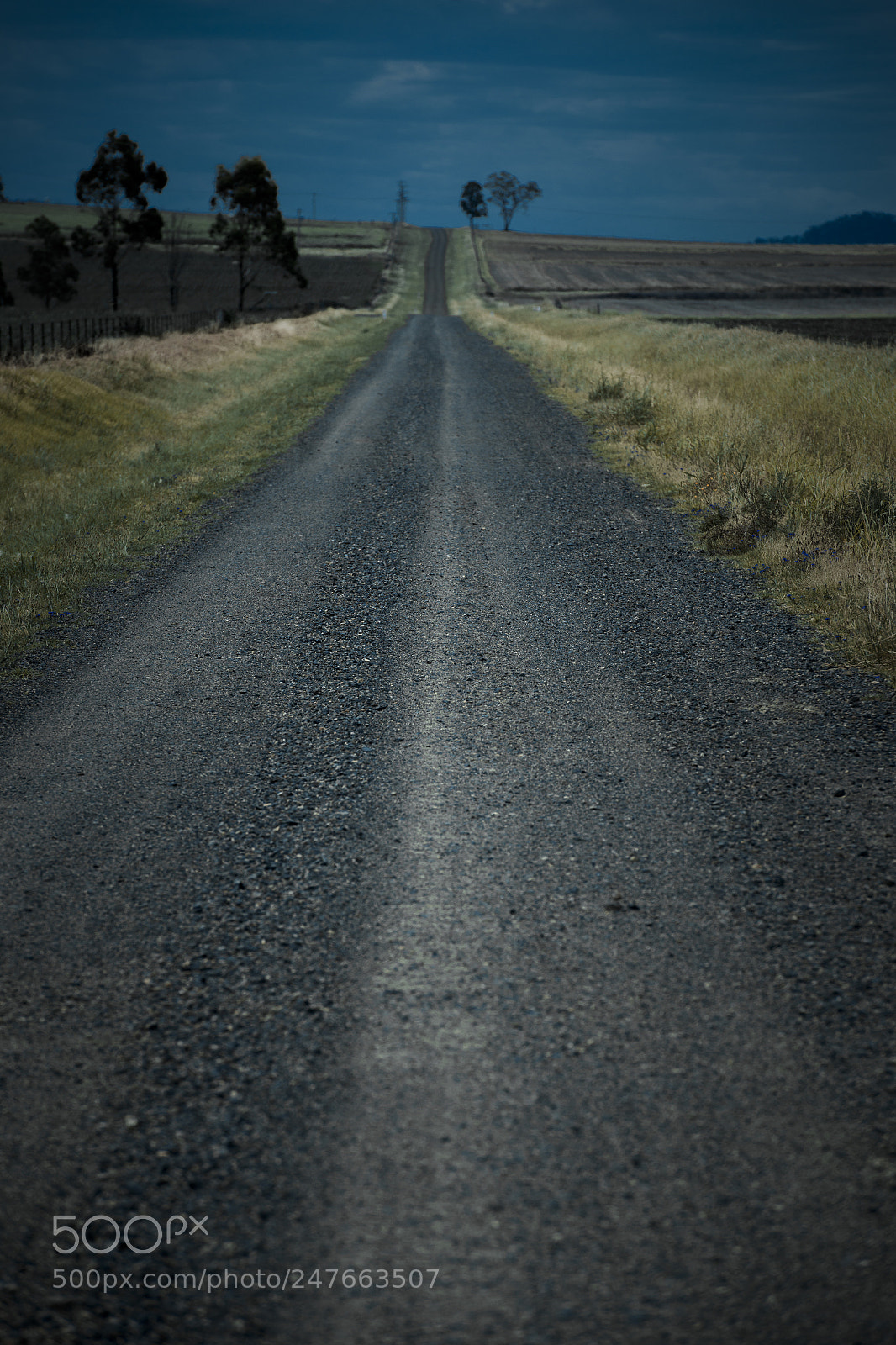 Nikon D800 sample photo. Road out in the photography