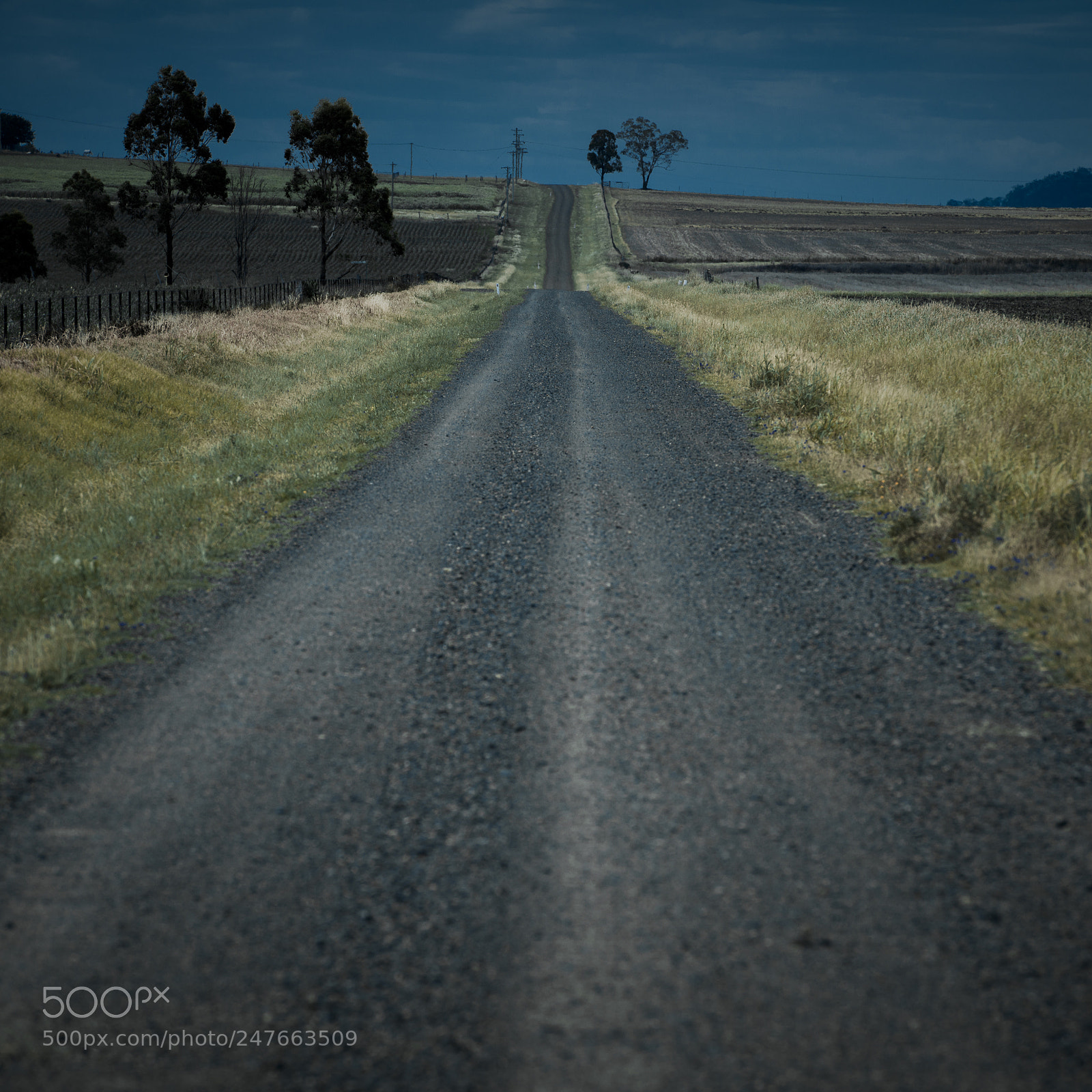 Nikon D800 sample photo. Road out in the photography