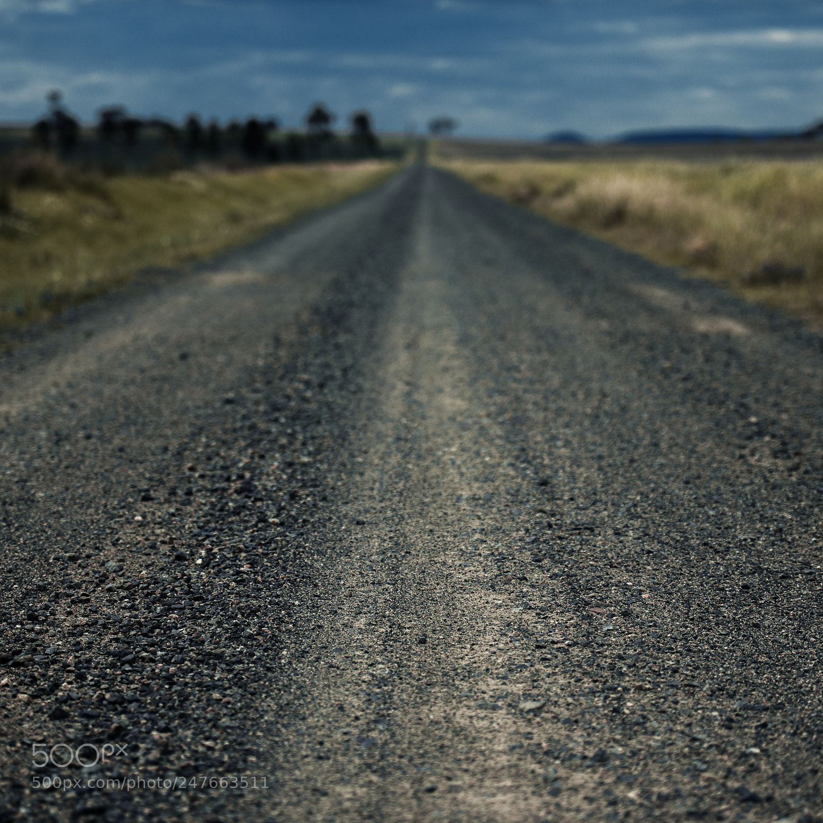 Nikon D800 sample photo. Road out in the photography