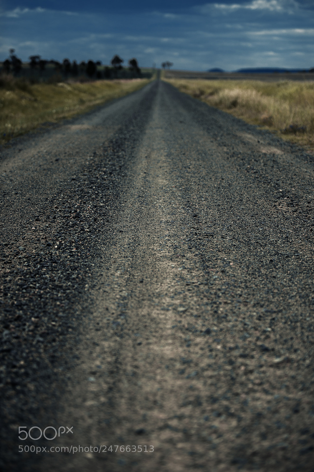 Nikon D800 sample photo. Road out in the photography