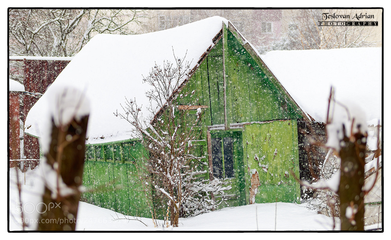 Canon EOS 7D Mark II sample photo. Winter.... photography