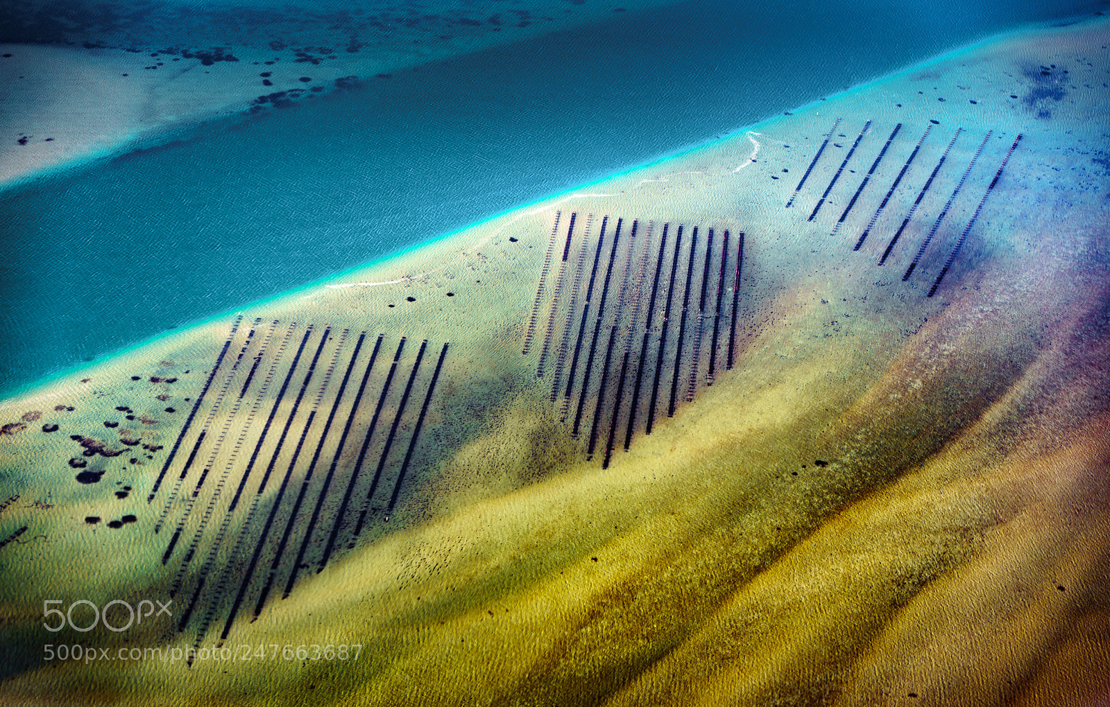 Sony a7R II sample photo. Barilla bay oyster beds photography