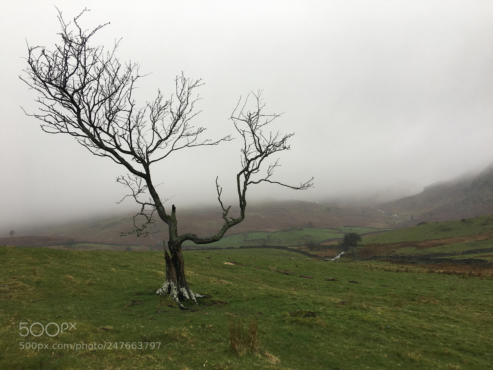 Apple iPhone 6s Plus sample photo. Lake district np (uk) photography