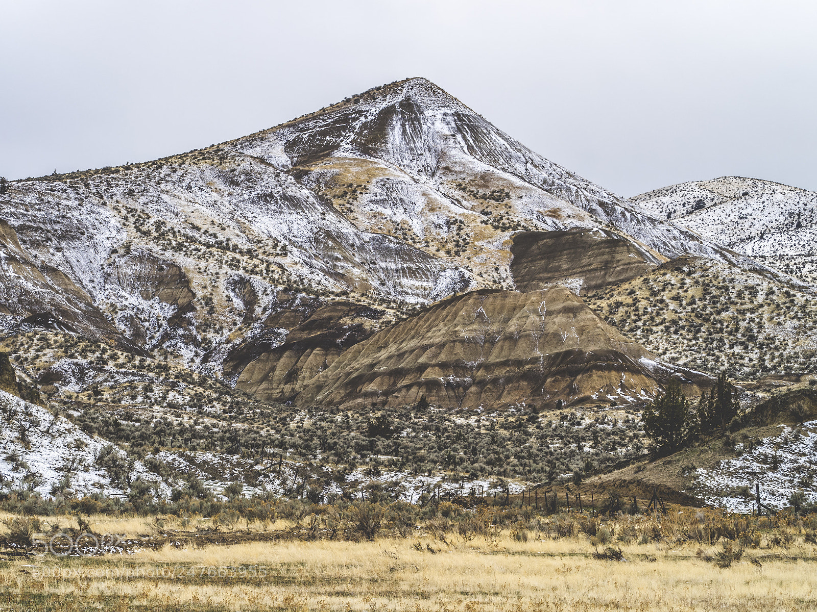 Olympus OM-D E-M1 sample photo. John day fossils photography