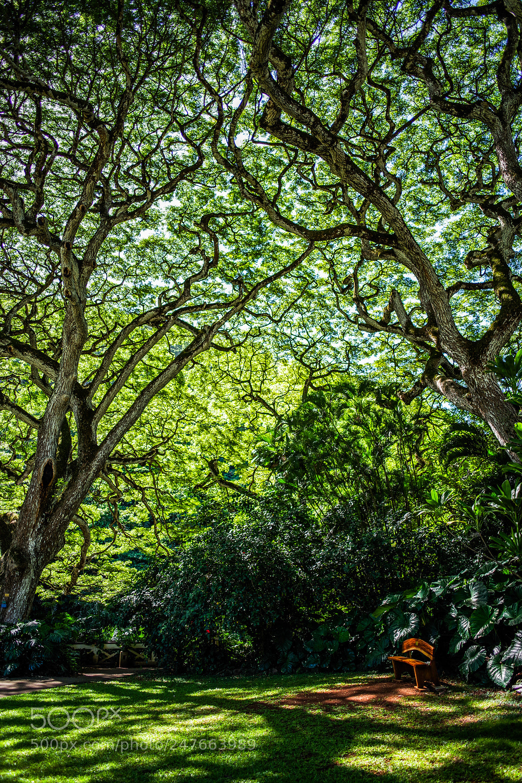 Pentax K-1 sample photo. Serene photography