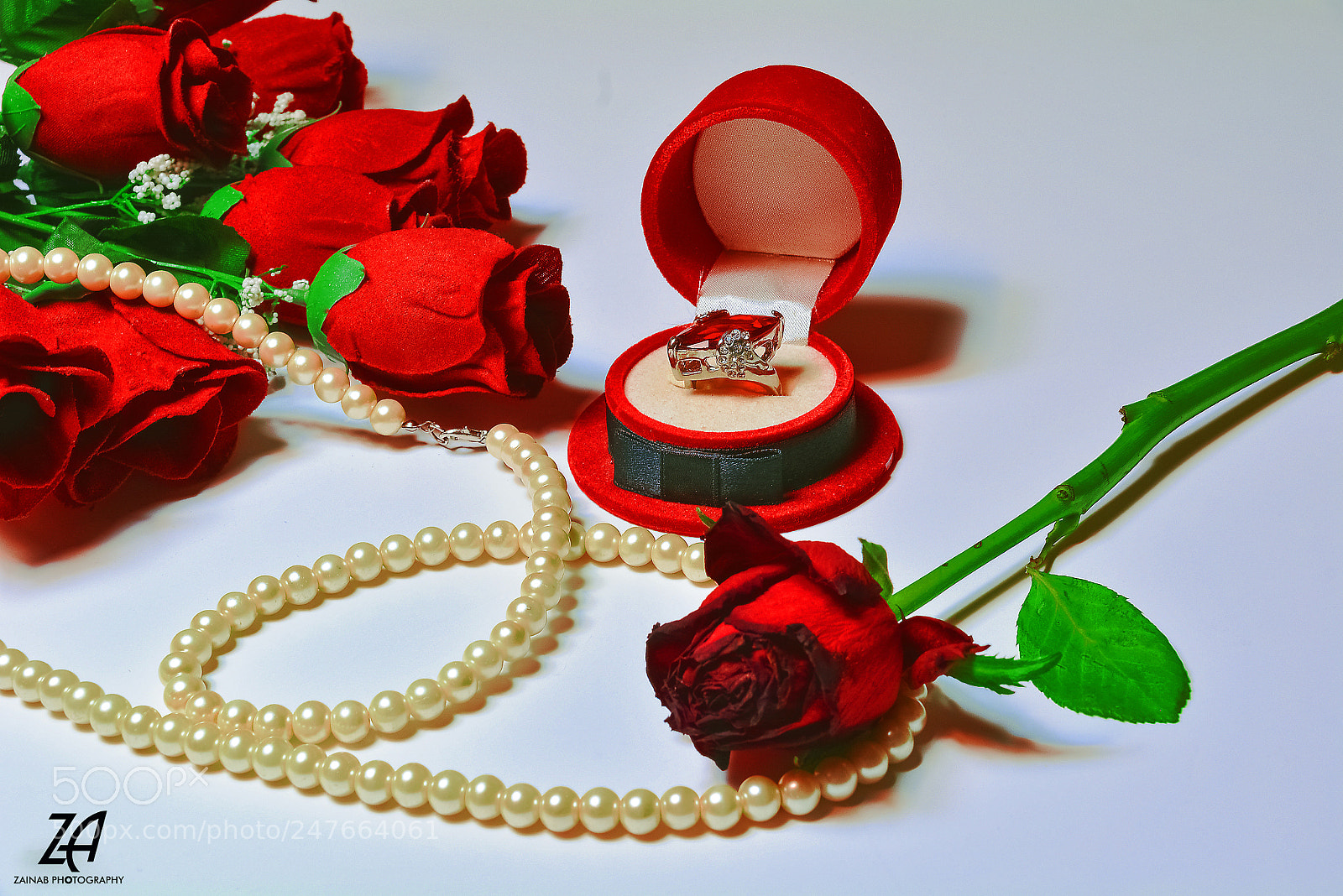 Nikon D5200 sample photo. Red ring photography