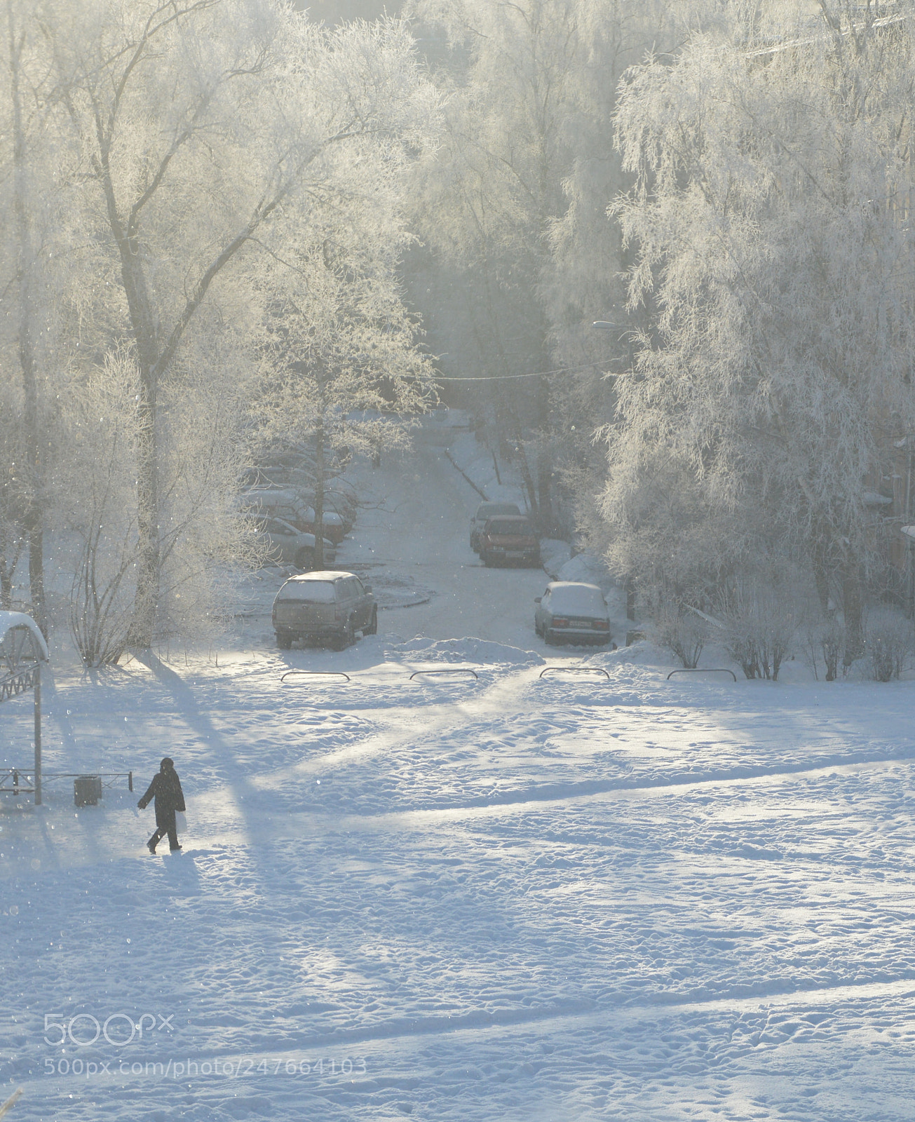 Nikon D3200 sample photo. Из моего окна photography