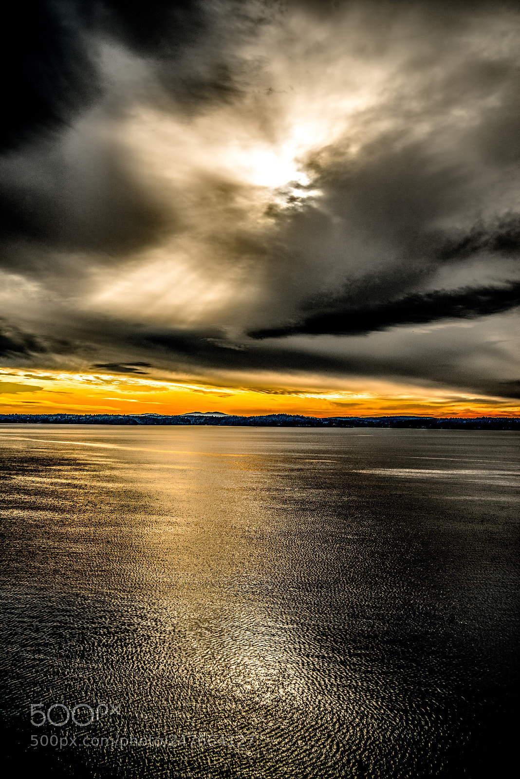 Nikon D800 sample photo. Untitled photography