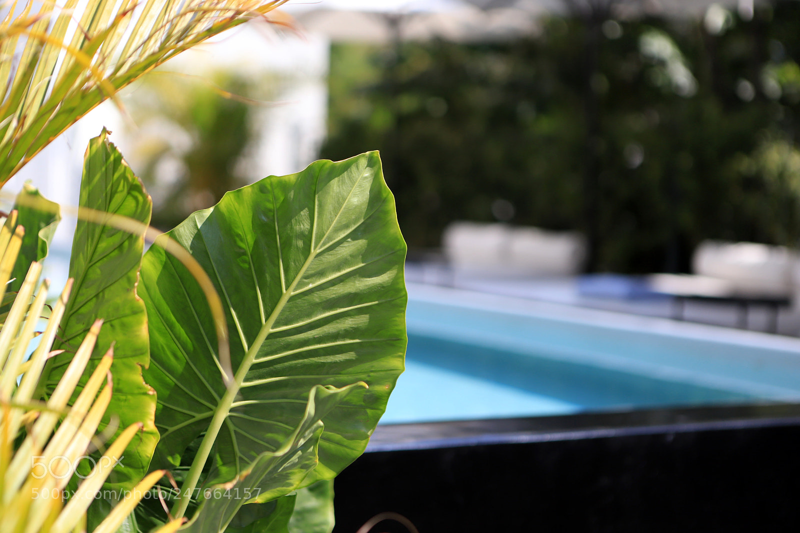 Canon EOS 6D Mark II sample photo. Hotel casa fayette photography