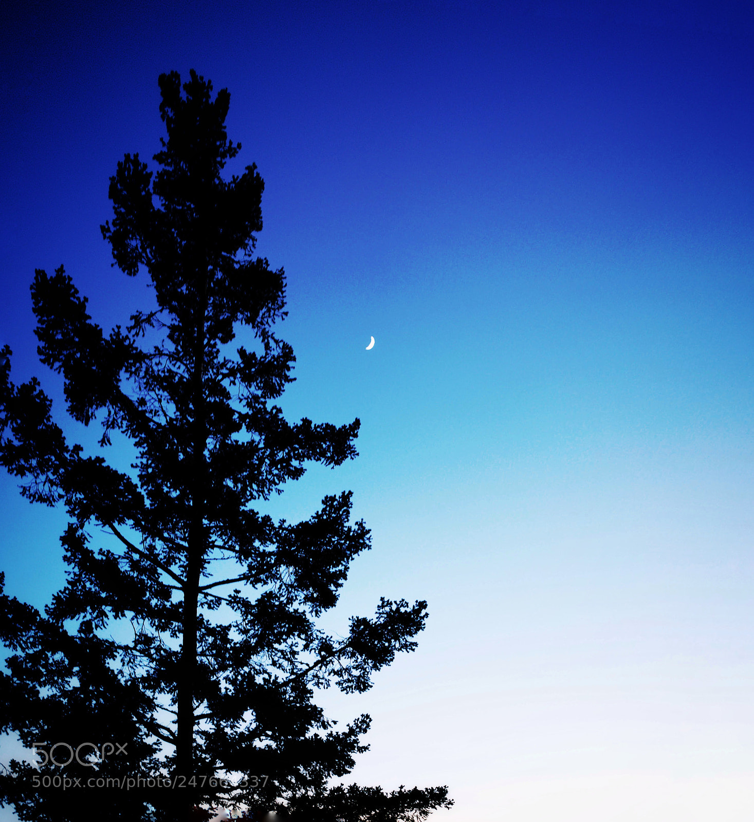 Sony a7 II sample photo. Untitled photography