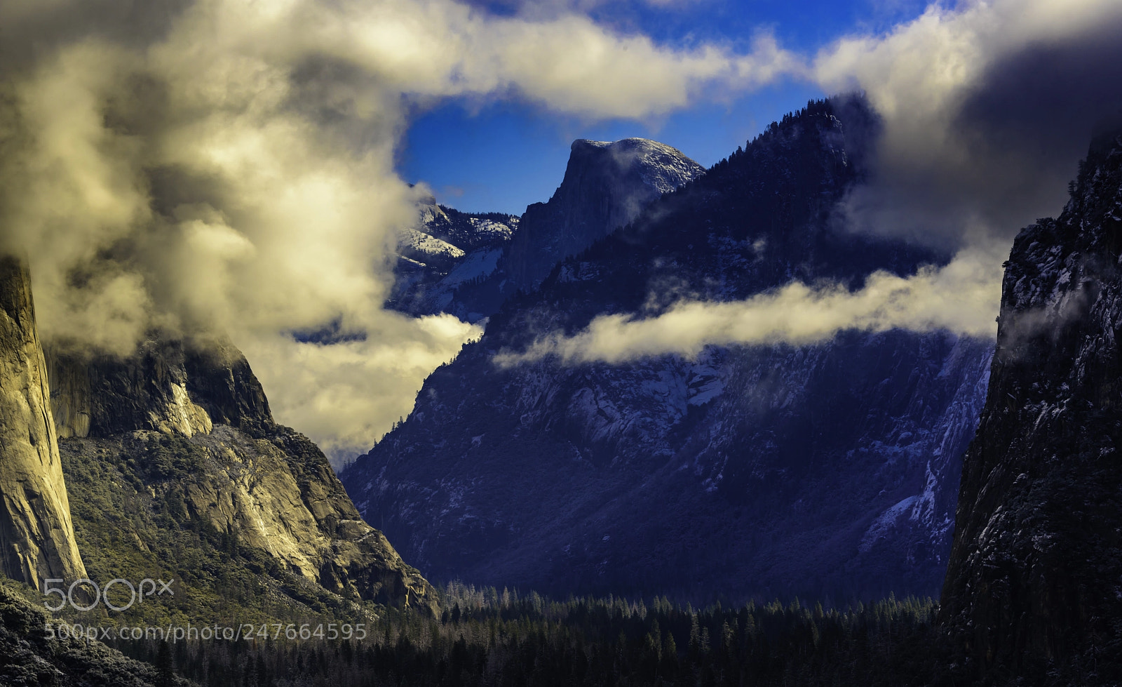 Nikon D810 sample photo. Tunnel view color photography