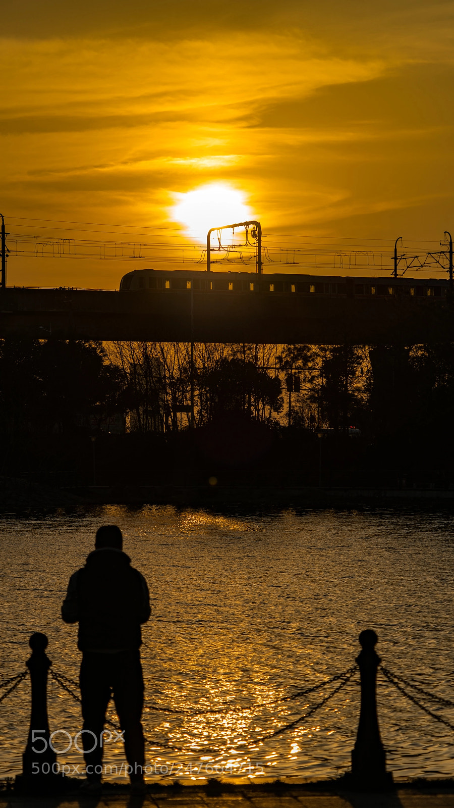 Sony a7R II sample photo. Untitled photography
