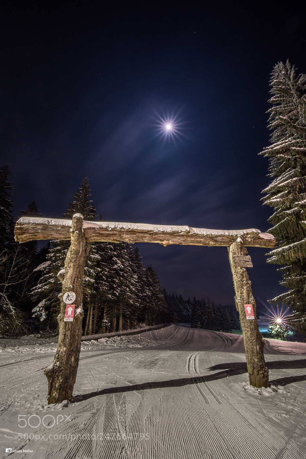 Nikon D810 sample photo. Monnlight photography