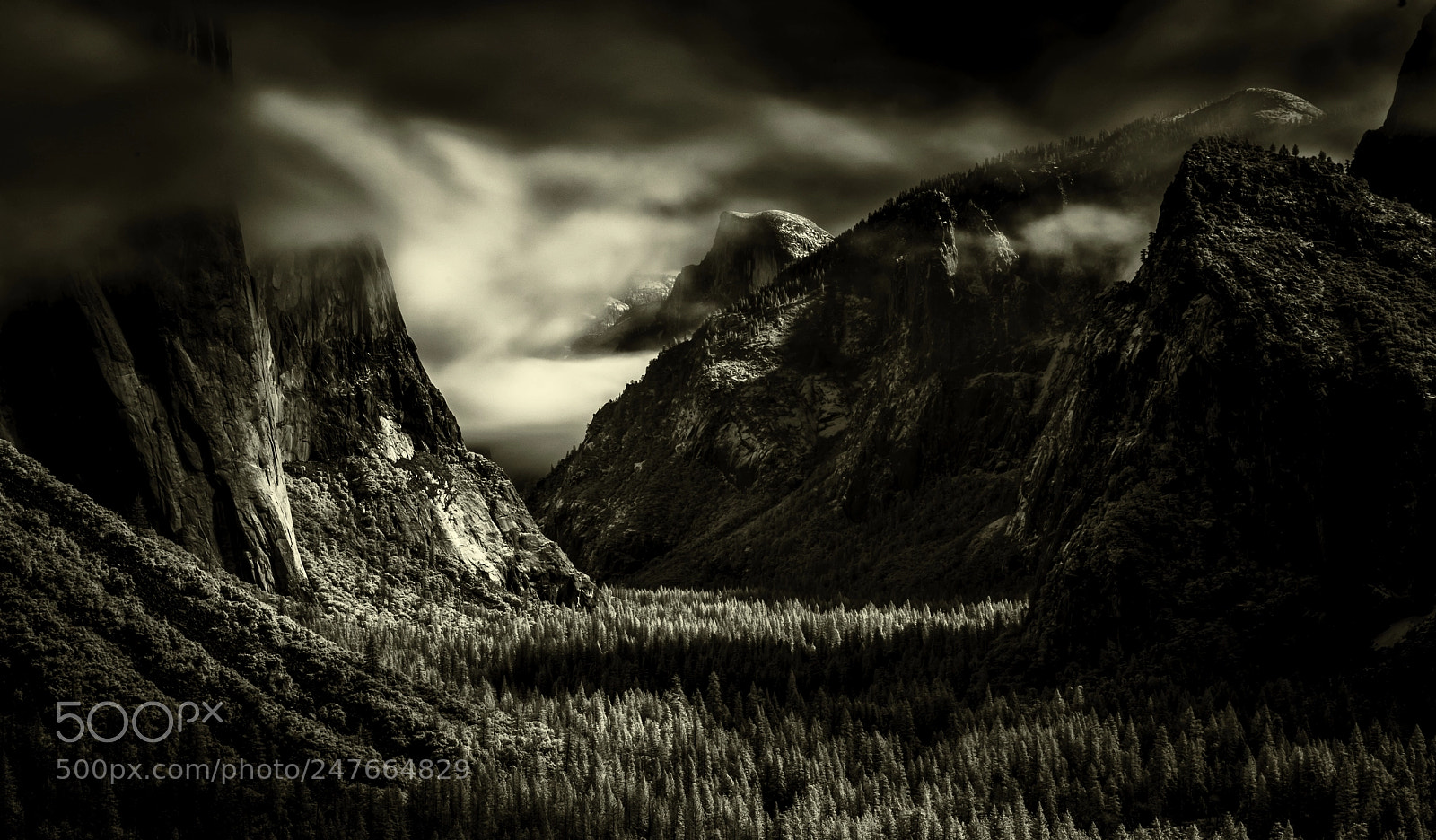 Nikon D810 sample photo. Tunnel view infrared photography