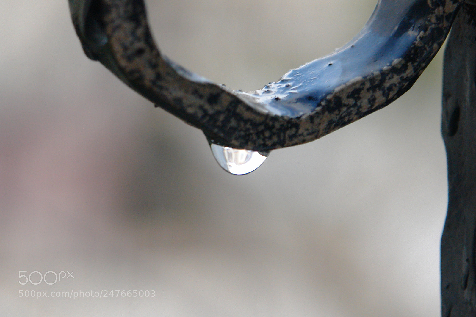 Sony DSC-R1 sample photo. Untitled photography