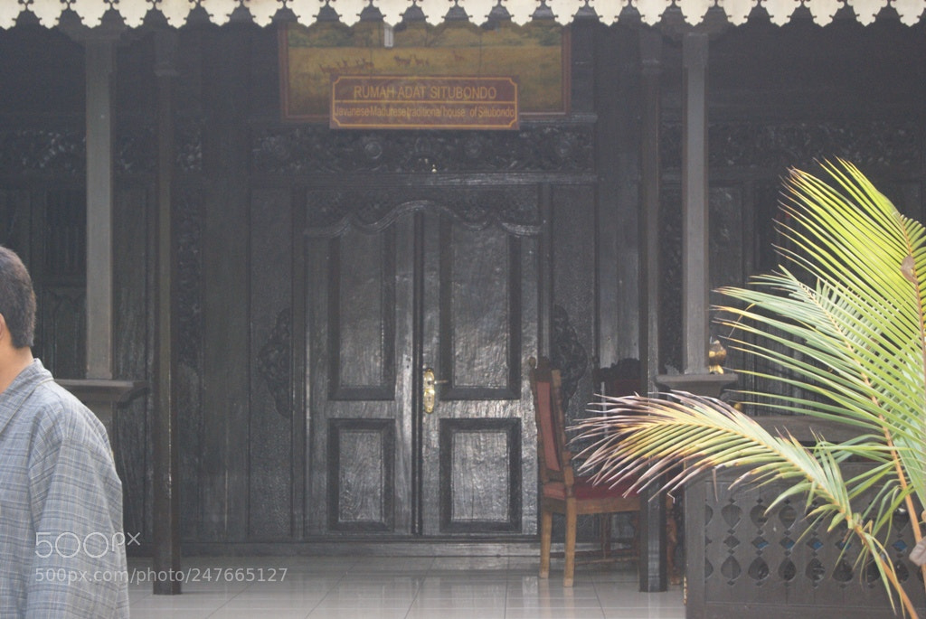 Sony Alpha DSLR-A230 sample photo. Custom house door ornaments photography