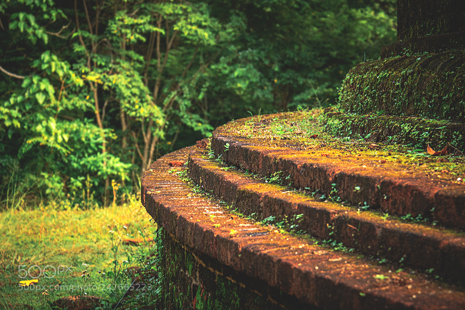 Canon EOS 600D (Rebel EOS T3i / EOS Kiss X5) sample photo. The forgotten temple #19 photography
